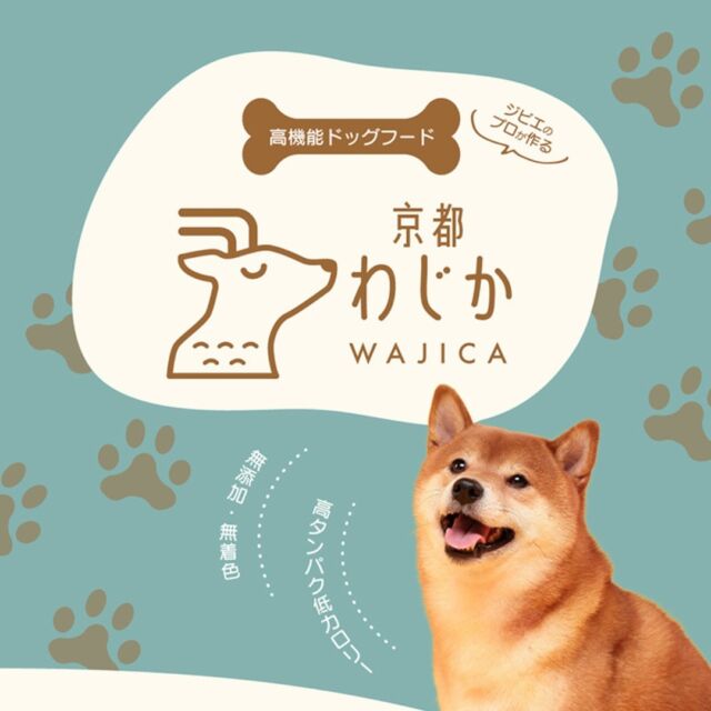 ジビエ肉のプロ歴５０年のキザキが厳選した鹿肉ドッグフードが誕生！

京都の大自然の中で育った鹿のみを使用。熟練した猟師が狩猟してすぐに血抜きをするので、新鮮さに自信があります。

本能をくすぐる肉肉しい香りは、大喜び間違いなし！

食欲がアップするだけでなく、「高タンパク」「高鉄分」「低カロリー」で、健康維持をしっかりサポートします！
国産、無添加、無着色で安心な高機能ドッグフードです♡
商品の詳細はこれから投稿していきます！フォローしてお待ちください♫
＼フォロー&いいねよろしくお願いします！／
 @wajica.dogfood

#鹿肉 #鹿肉ドッグフード #国産ドッグフード #無添加ドッグフード #保存料不使用 #おもちゃ #愛犬家　#愛犬家と繋がりたい#犬好きな人と繋がりたい #鹿肉ふりかけ #ジビエ肉 #和束町 #京都 #ジビエ #SDGs #循環型社会