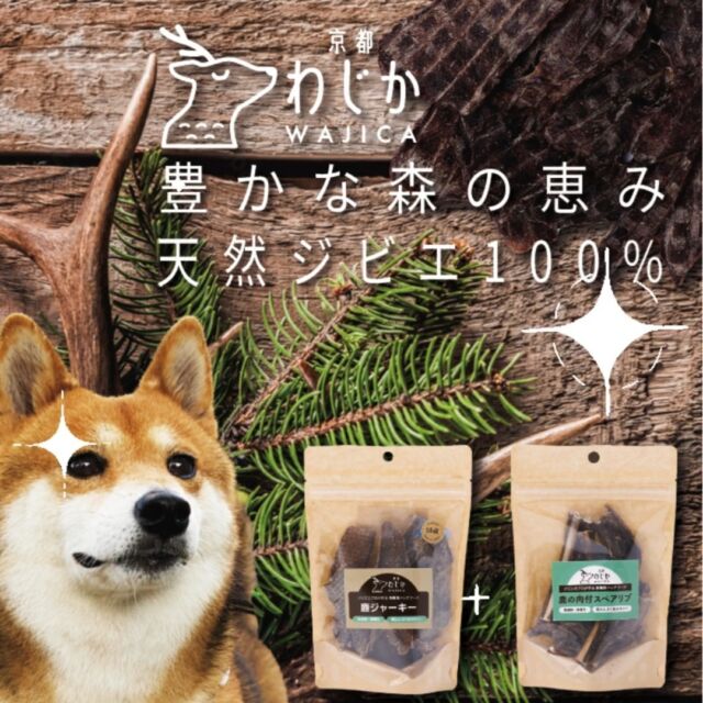 ジビエ肉のプロ歴５０年のキザキが厳選した鹿肉ドッグフードが誕生！

京都の大自然の中で育った鹿のみを使用。熟練した猟師が狩猟してすぐに血抜きをするので、新鮮さに自信があります。

本能をくすぐる肉肉しい香りは、大喜び間違いなし！

食欲がアップするだけでなく、「高タンパク」「高鉄分」「低カロリー」で、健康維持をしっかりサポートします！
国産、無添加、無着色で安心な高機能ドッグフードです♡
商品の詳細はこれから投稿していきます！フォローしてお待ちください♫
＼フォロー&いいねよろしくお願いします！／
@wajica.dogfood

#鹿肉 #鹿肉ドッグフード #国産ドッグフード #無添加ドッグフード #保存料不使用 #おもちゃ #愛犬家　#愛犬家と繋がりたい#犬好きな人と繋がりたい #鹿肉ふりかけ #ジビエ肉 #和束町 #京都 #ジビエ #SDGs #循環型社会