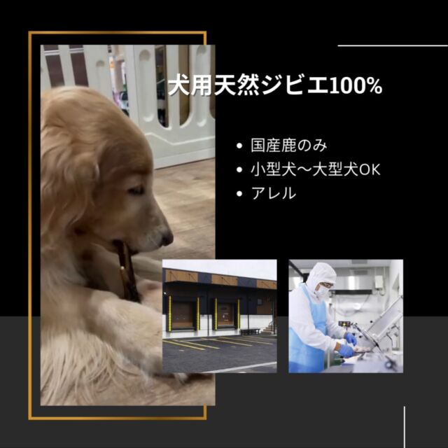 ジビエ肉のプロ歴５０年のキザキが厳選した鹿肉ドッグフードが誕生！

京都の大自然の中で育った鹿のみを使用。熟練した猟師が狩猟してすぐに血抜きをするので、新鮮さに自信があります。

本能をくすぐる肉肉しい香りは、大喜び間違いなし！

食欲がアップするだけでなく、「高タンパク」「高鉄分」「低カロリー」で、健康維持をしっかりサポートします！
国産、無添加、無着色で安心な高機能ドッグフードです♡
商品の詳細はこれから投稿していきます！フォローしてお待ちください♫
＼フォロー&いいねよろしくお願いします！／
@wajica.dogfood

#鹿肉 #鹿肉ドッグフード #国産ドッグフード #無添加ドッグフード #保存料不使用 #おもちゃ #愛犬家　#愛犬家と繋がりたい#犬好きな人と繋がりたい #鹿肉ふりかけ #ジビエ肉 #和束町 #京都 #ジビエ #SDGs #循環型社会